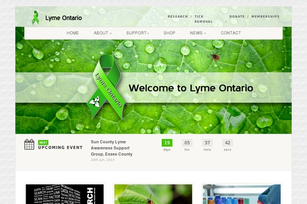 Salient Child theme site design template sample