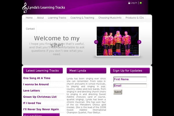 Stylish theme site design template sample