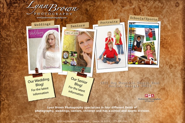 Staranise theme site design template sample