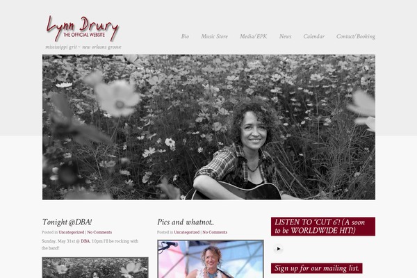 lynndrury.com site used Calenotismagazine