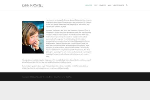 Interface theme site design template sample