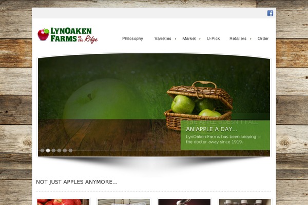 Andrina theme theme site design template sample