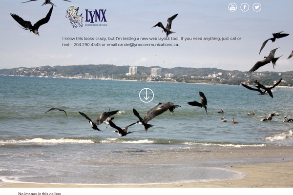 Optimizer theme site design template sample