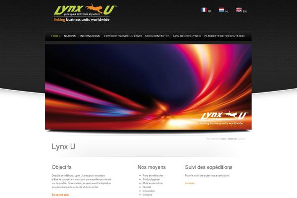 Dice theme site design template sample
