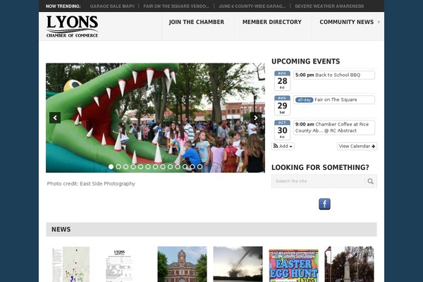 Point theme site design template sample