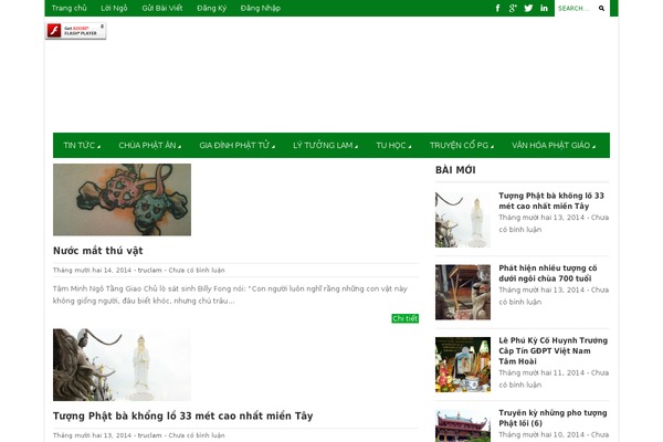 Magazon Wp theme site design template sample