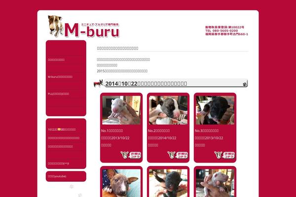 m-buru.com site used M-buru