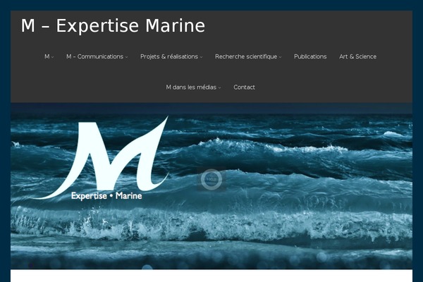 Asteria Lite theme site design template sample