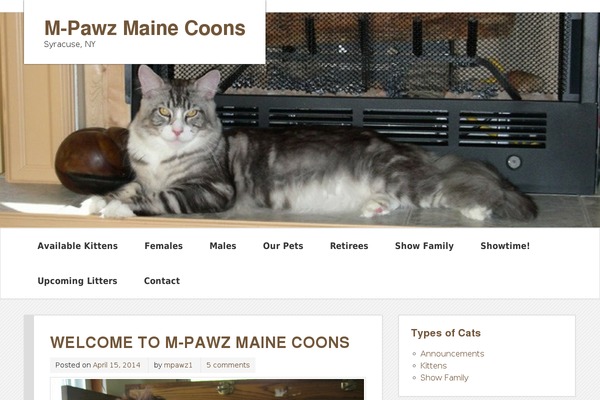 m-pawz-mainecoons.com site used zeeMinty