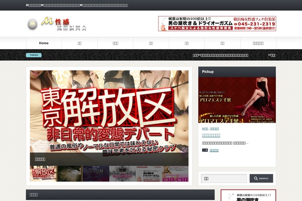 Gorgeous_tcd013 theme site design template sample