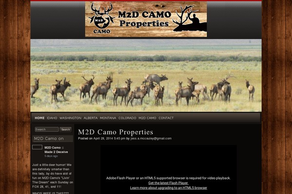 raindrops theme site design template sample
