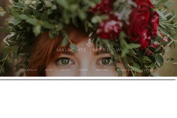 Site using WP-SpamShield Anti-Spam plugin
