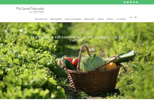 Wellspring theme site design template sample