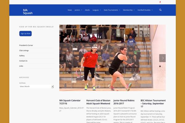 Salient theme site design template sample