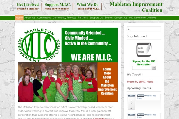 Themolio theme site design template sample