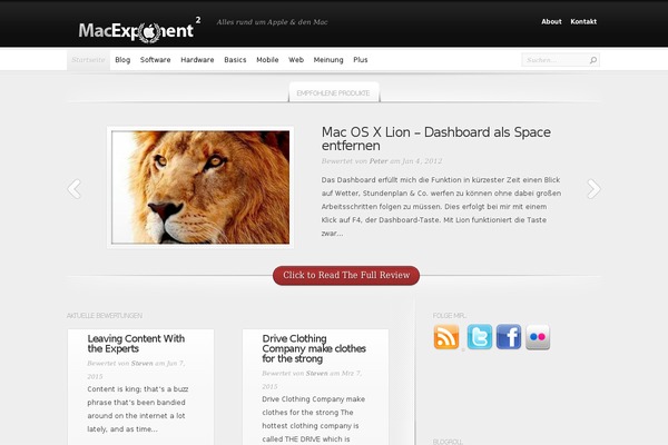InReview theme site design template sample