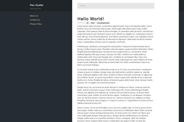 Woncep theme site design template sample