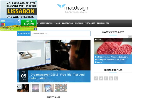 Adams theme site design template sample