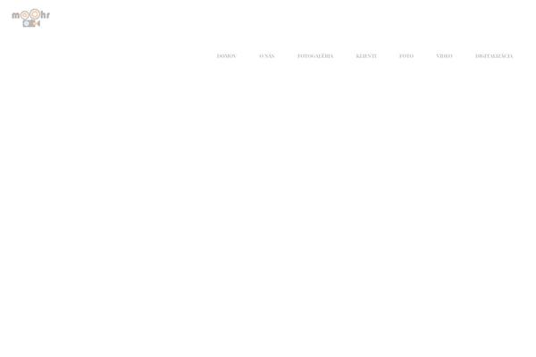 Vivagh theme site design template sample
