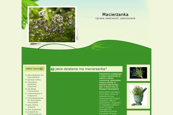 macierzanka.pl site used Flower_68