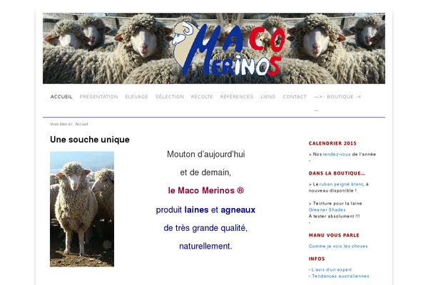 Site using Dynamic Headers plugin