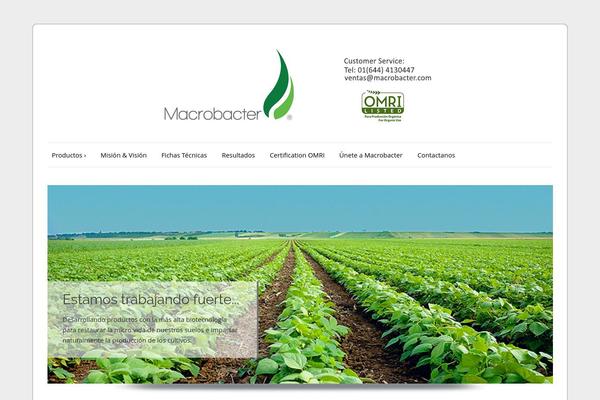 ColorWay theme site design template sample
