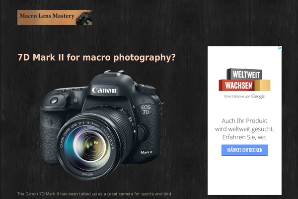 Streamline Pro theme site design template sample