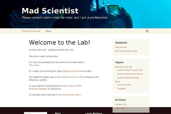 Twentythirteen Child theme site design template sample
