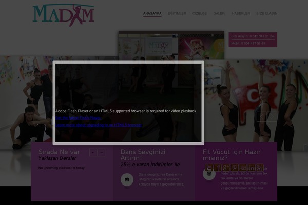 Site using Animated Twitter Bird plugin