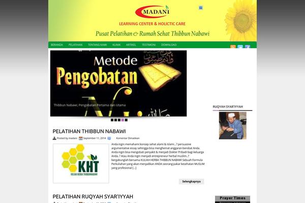 Flash News theme site design template sample
