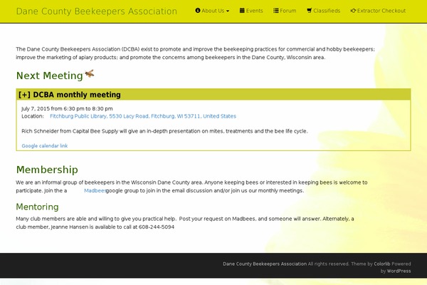 Dazzling theme site design template sample
