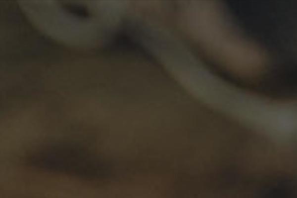 Site using Ut-shortcodes plugin