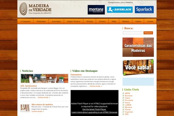 Montana theme site design template sample