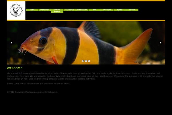 madisonaquatichobby.com site used Maah