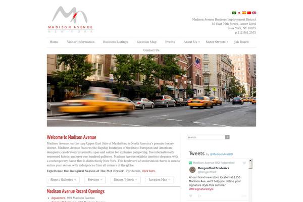 Media Consult theme site design template sample