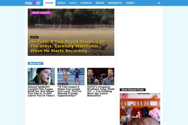 Site using Media-ace plugin