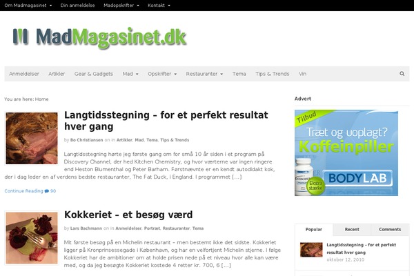 Canvas theme site design template sample