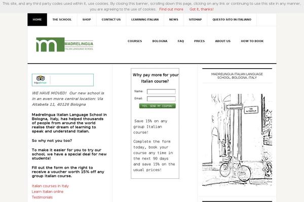 News Pro theme site design template sample