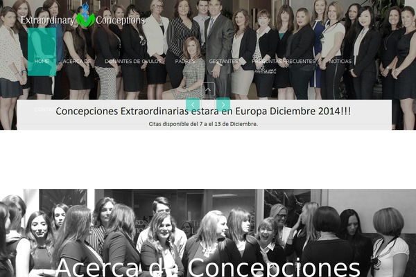 Accio theme site design template sample