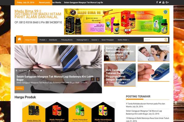 VertiMagazine theme site design template sample