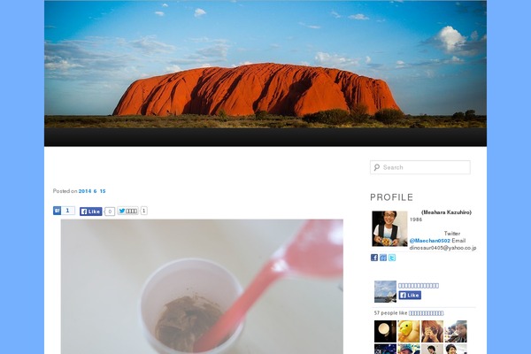 Jin theme site design template sample