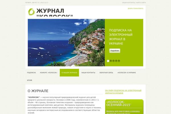 Perfect theme site design template sample