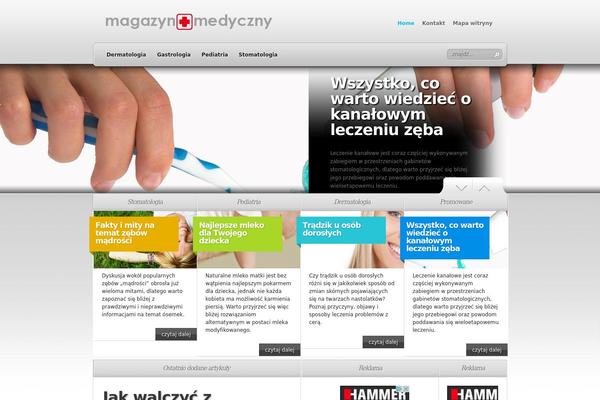 TheSource theme site design template sample