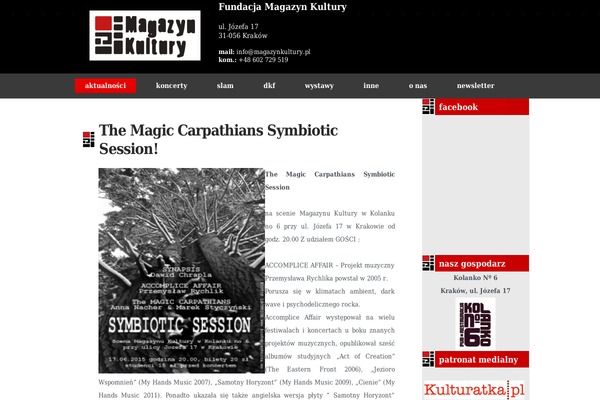 magazynkultury.pl site used Stylized