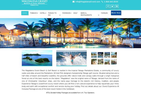 Enigma Premium theme site design template sample