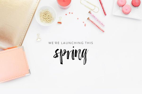 Beverly theme site design template sample