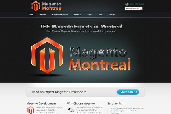 ShowTime theme site design template sample