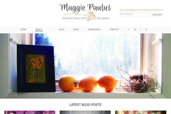 Site using Instagram Slider Widget plugin