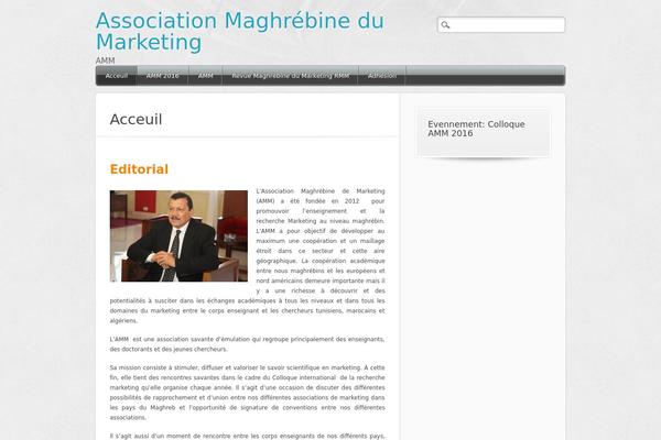 Media Maven theme site design template sample
