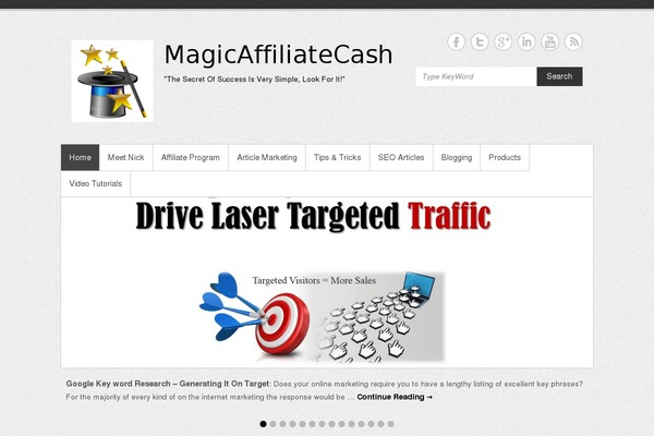 Simple Catch theme site design template sample